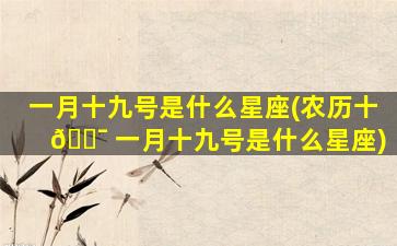 一月十九号是什么星座(农历十 🐯 一月十九号是什么星座)